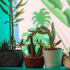 Dennis / *10 April 2024*