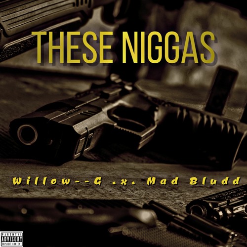 These Niggas (Edit) Ft Willow - -G