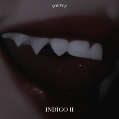 indigo II (w/ access)