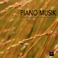 Piano Relax Musik