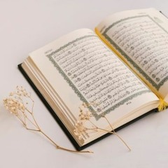 Usool-ut-Tafsir of Ibn Taymiyyah - 16