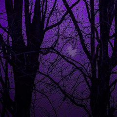 (FREE FOR PROFIT) Ken Carson x OsamaSon Type Beat - 151BPM (E Minor)