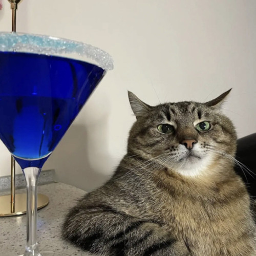 Dani Lia - Another Love