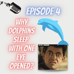 Ep. 4 Why Dolphins Sleep With One Eye Opened?