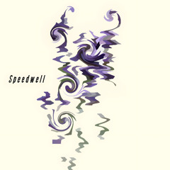 Speedwell