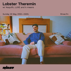 Lobster Theremin w/ Asquith, LUXE and k means - 30 May 2021