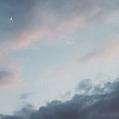 jackals.i. (AI-Assisted)