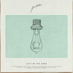 Lost in the Dark