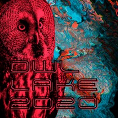 Owl Lake 2020 Mix