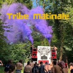 Tribe Matinale 2 ( 30,000 views thank you !! )