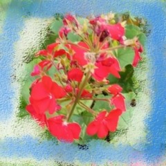 [E-Motion] 백아연 - 이럴거면 그러지 말지 [Feat. Young K] [Only Rap COVER]