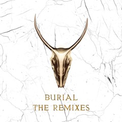 Yogi & Skrillex - Burial (BuzzKill Bootleg)