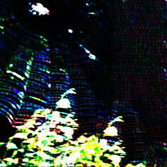 spiders w/ unblithe