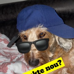 Daan’s fiske