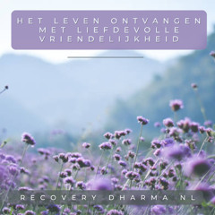 Het leven ontvangen met Liefdevolle Vriendelijkheid