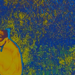 boğar ev denemeleri 2023