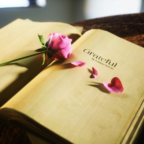 Fabian Secon - Grateful (Lyrics Lyric Video)