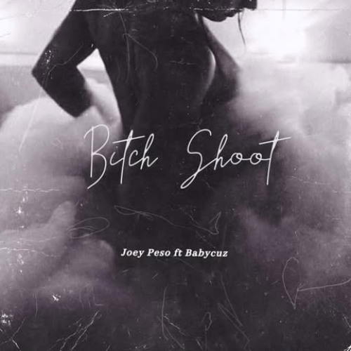 B**ch Shoot (Prod. BeatsByNyce)
