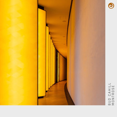 Montrose (Original Mix)