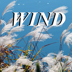 Wind (feat. Monica Johnson - vocals)