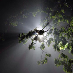 UNDER A SIEGE - SNOW STRIPPERS (FOFINHA2004 REMIX)