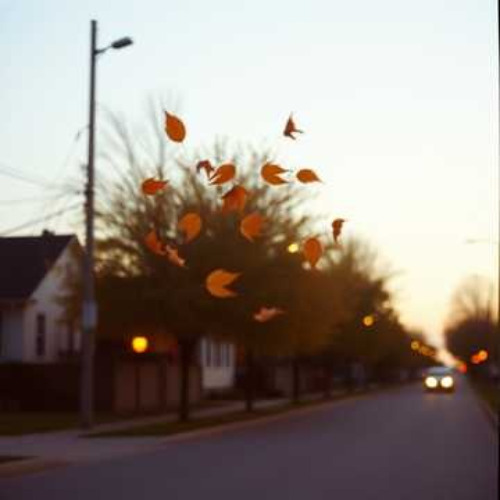 헤어질 결심 (Decision to Break Up)