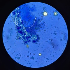 SØKKA - Intergalactic Chase