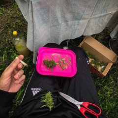 Una Daga Y Una Escolta