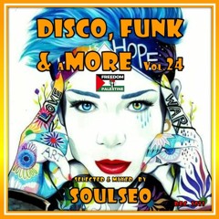 Disco, Funk & More #24