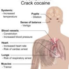 Young Gipsy - Карусель [flip p33la]