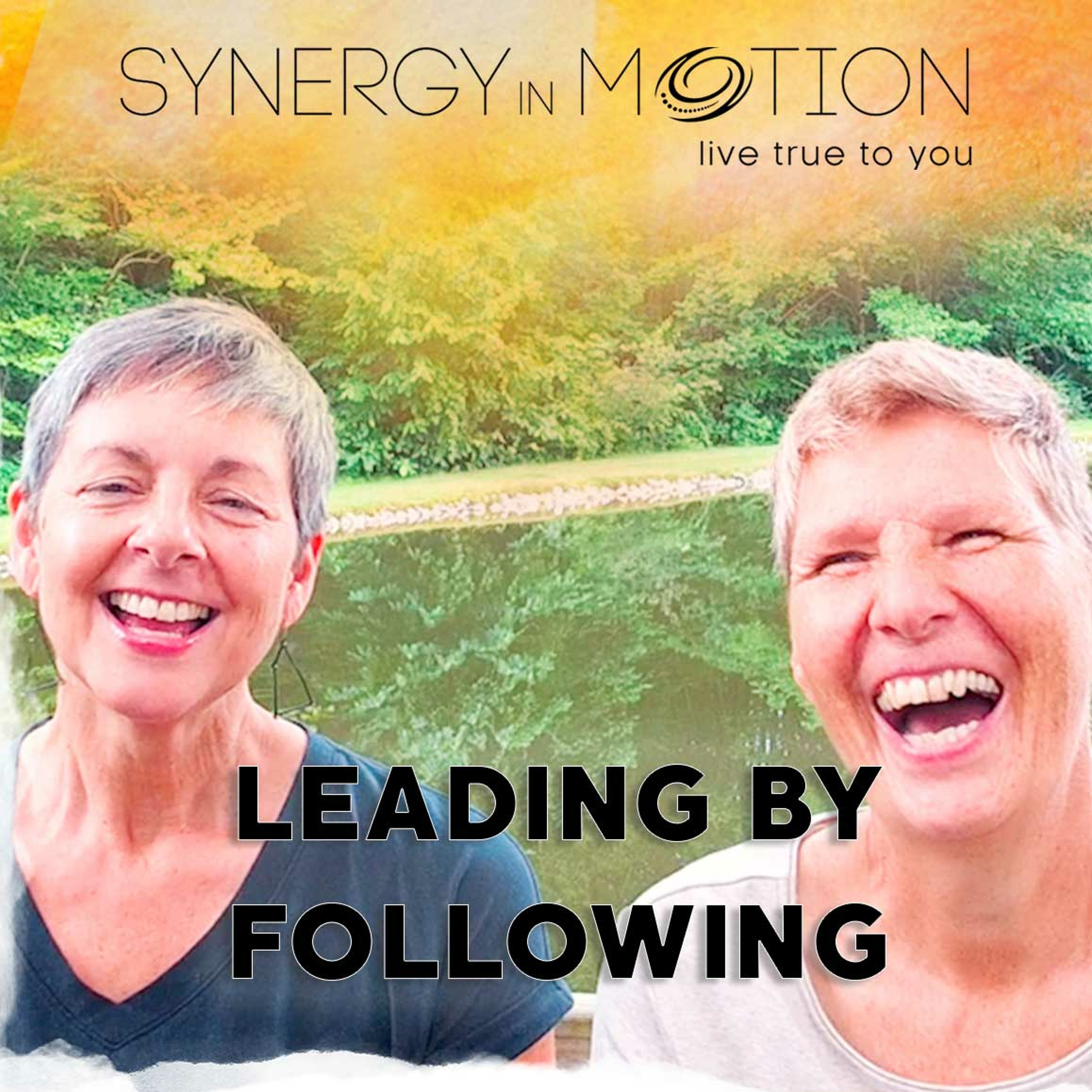 Leading By Following - Hexagram 56 And Hexagram 31 episode artwork