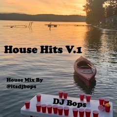 House Hits V.1