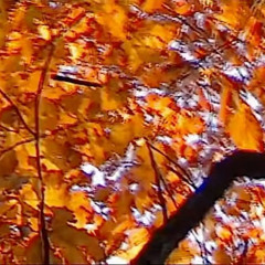 "Decay" - Lil Peep Type Beat [Free]