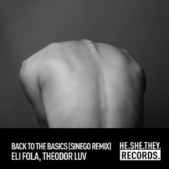 PREMIERE: Eli Fola, Theodor Luv - Back To The Basics (Sinego Remix) [HE.SHE.THEY. RECORDS]