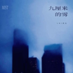 九厘米的雾