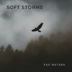 Soft Storms