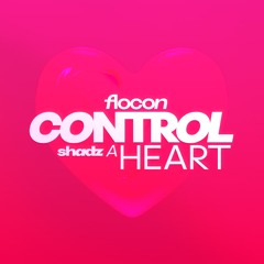 flocon & Shadz - Control a Heart