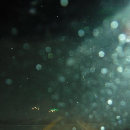 smell the rain
