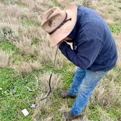 SOIL+AiR creative future landscapes mid-project update (December 2024)