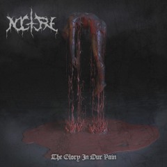 Depressive Suicidal Black Metal - DSBM - 8