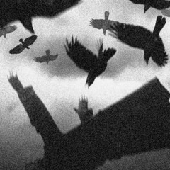 Born Again (Prod.BRAZZIER)