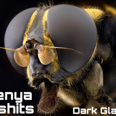 Zhenya Livshits - Dark Glasses (Original Mix) (320 kbps).mp3