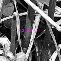Dreaming In The Undergrowth