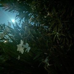 Gills: a poem of breath and water - spoken word poetry