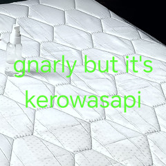 gnarly but its kerowasapi