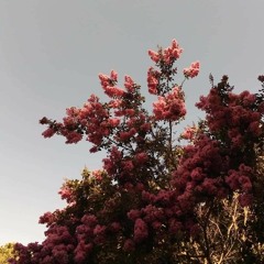 Quiero Verte - Maqueta