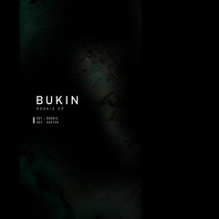 Bukin - Hasten