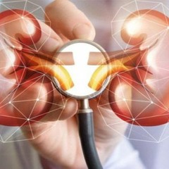 Молекулярная нефрология и большие числовые массивы