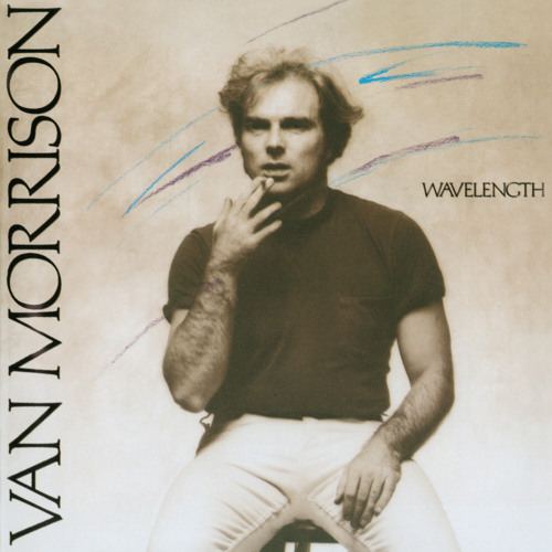 Stream Hungry for Your Love (2008 Remaster) by Official Van