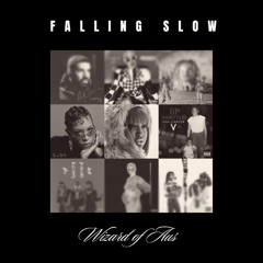 Falling Slow